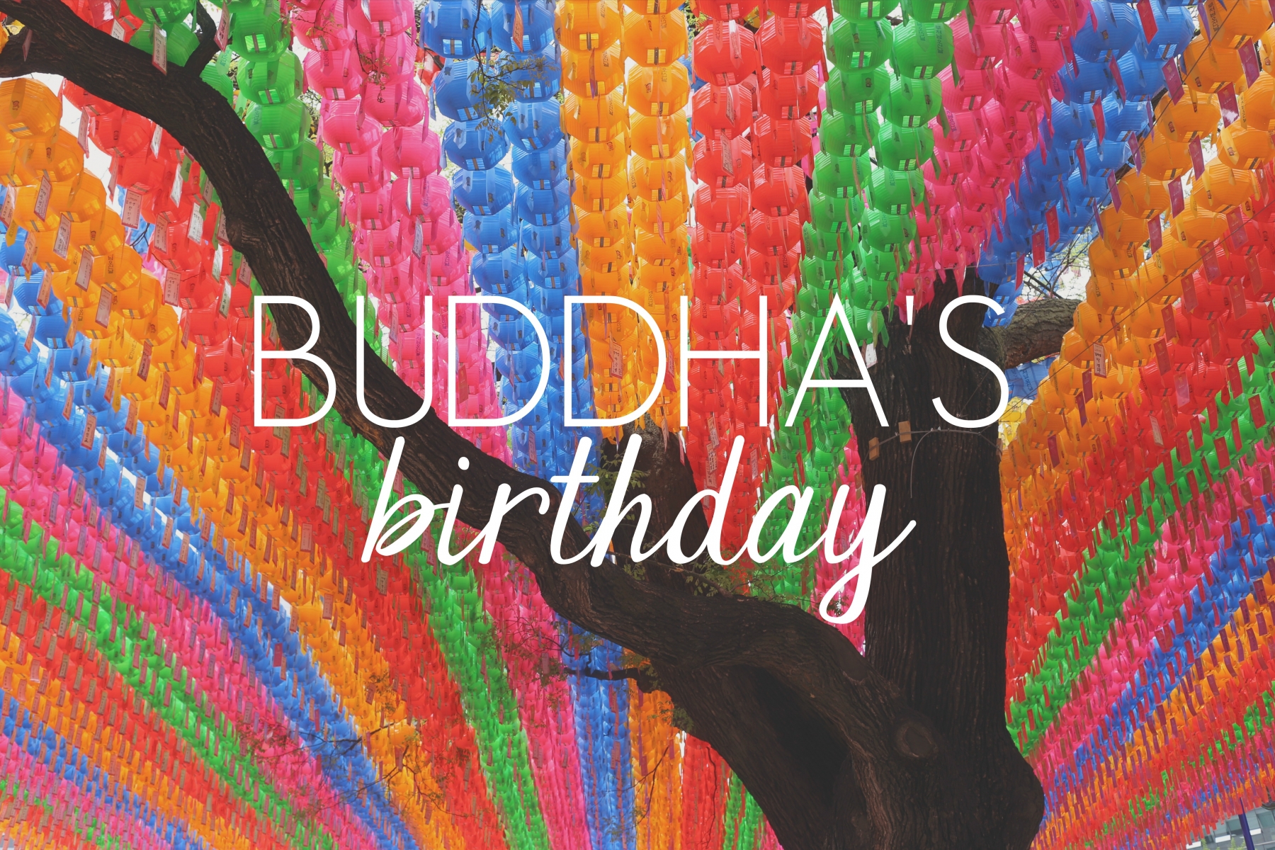 Buddha's Birthday // KOREA