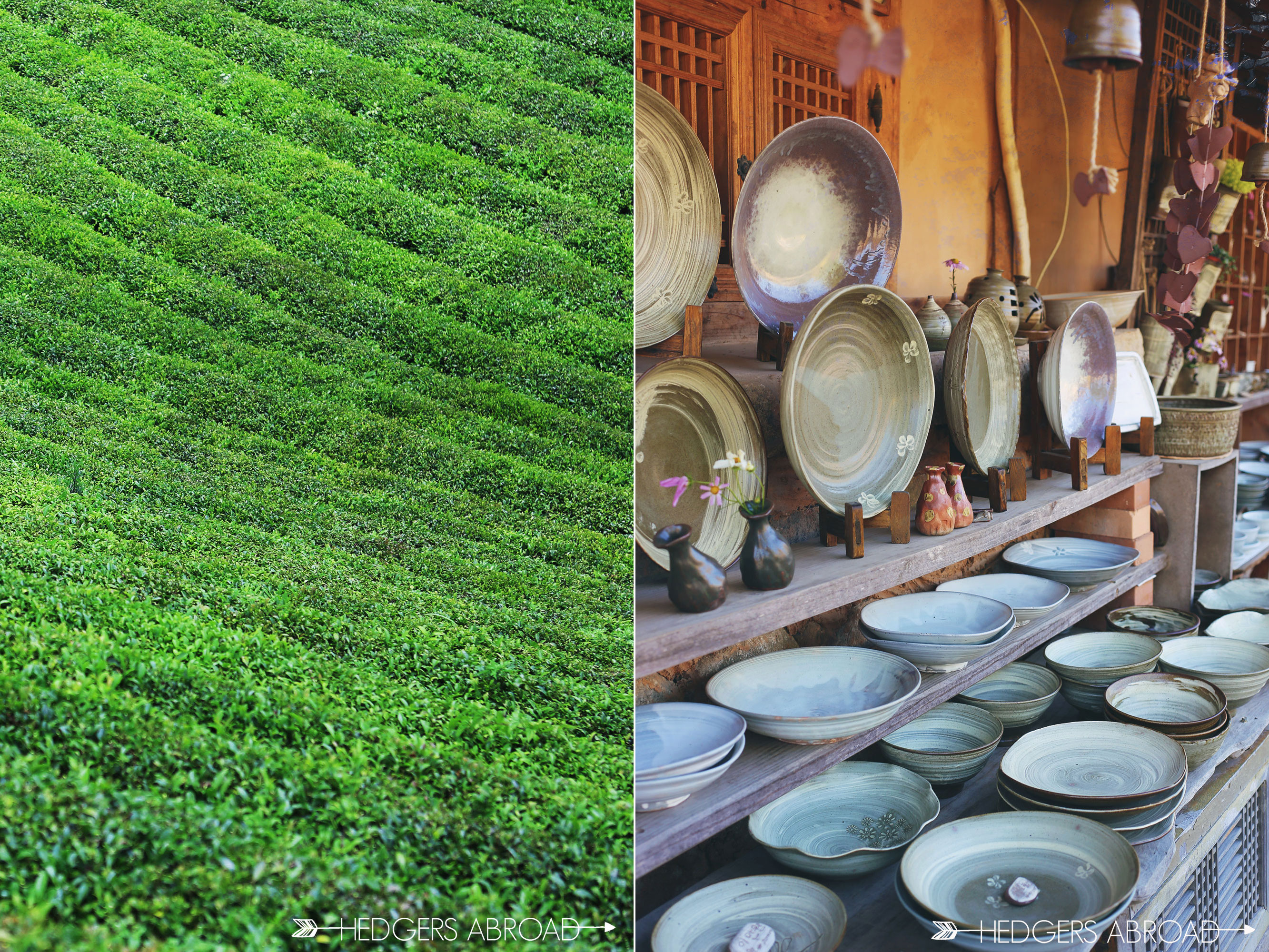 Hadong Green Tea // SOUTH KOREA