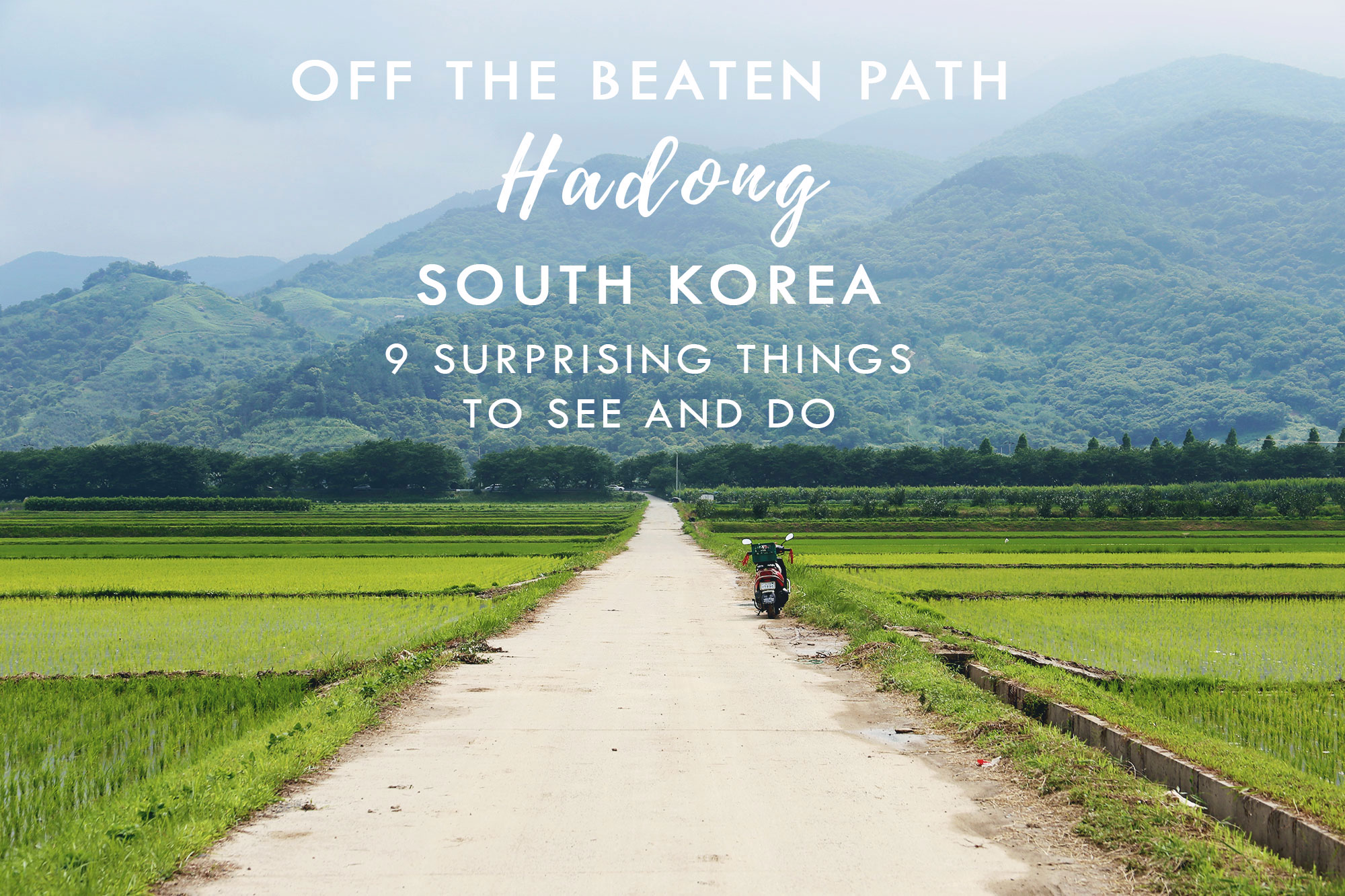 9 Surprising Things to Do and See // HADONG, SOUTH KOREA
