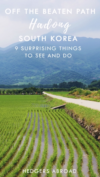9 Surprising Things to Do and See // HADONG, SOUTH KOREA