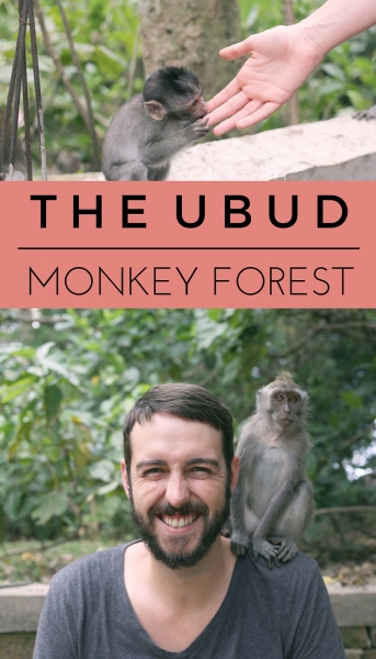 THE UBUD MONKEY FOREST