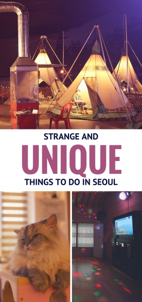 Strange // Unique Things to do in Seoul
