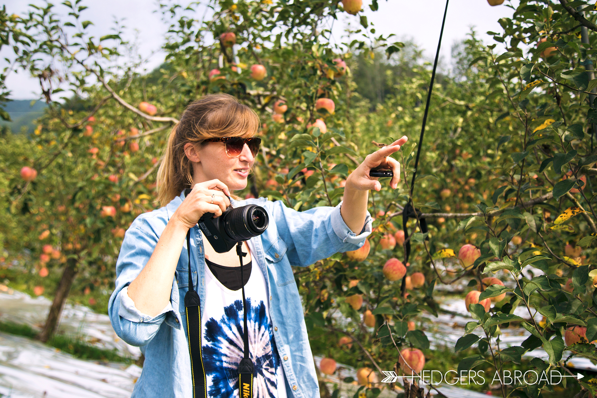 Korea Apple Orchard Photo Shoot