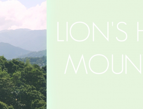Lion’s Head Mountain