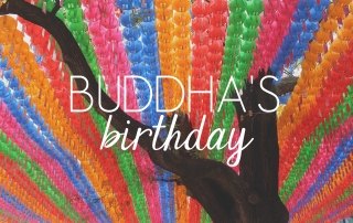 Buddha's Birthday // KOREA