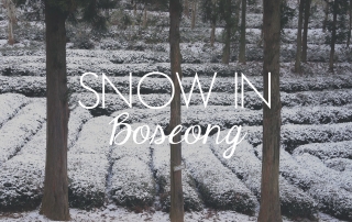 Snow in Boseong // KOREA