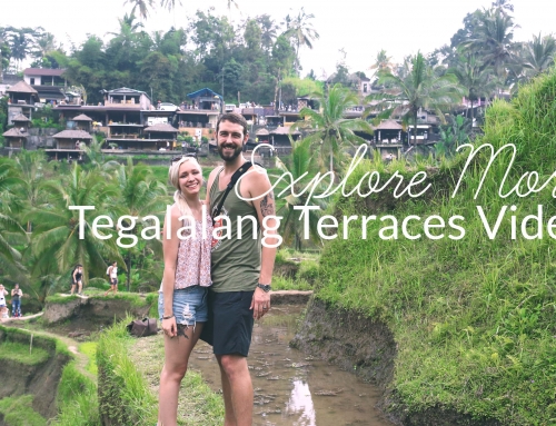 Explore More – Tegalalang Terraces Video