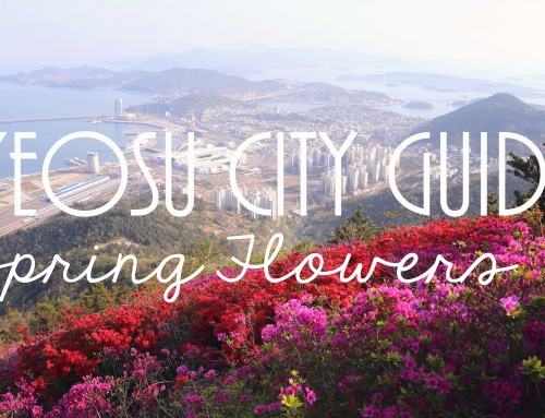 Yeosu City Guide – Spring Flower Locations
