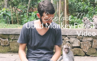 The Monkey Forest // Ubud