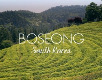 Weekend Getaway - Boseong