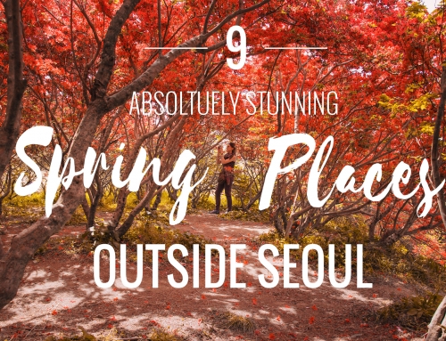 9 Absolutely Stunning Spring Places Outside Seoul