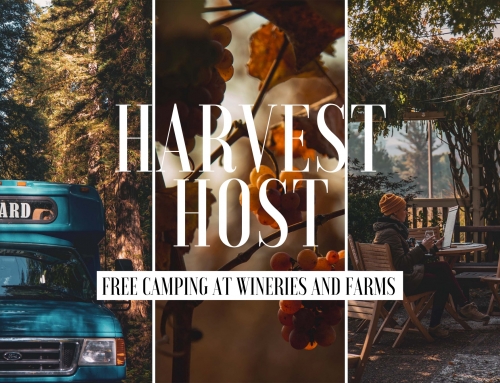 Harvest Host: Free Camping At Wineries